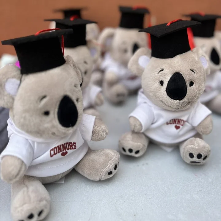 Plush Koalas in white Connors tees wearing black graduation caps
